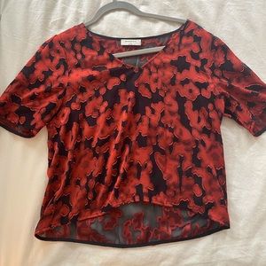 Semi sheer Aritzia blouse